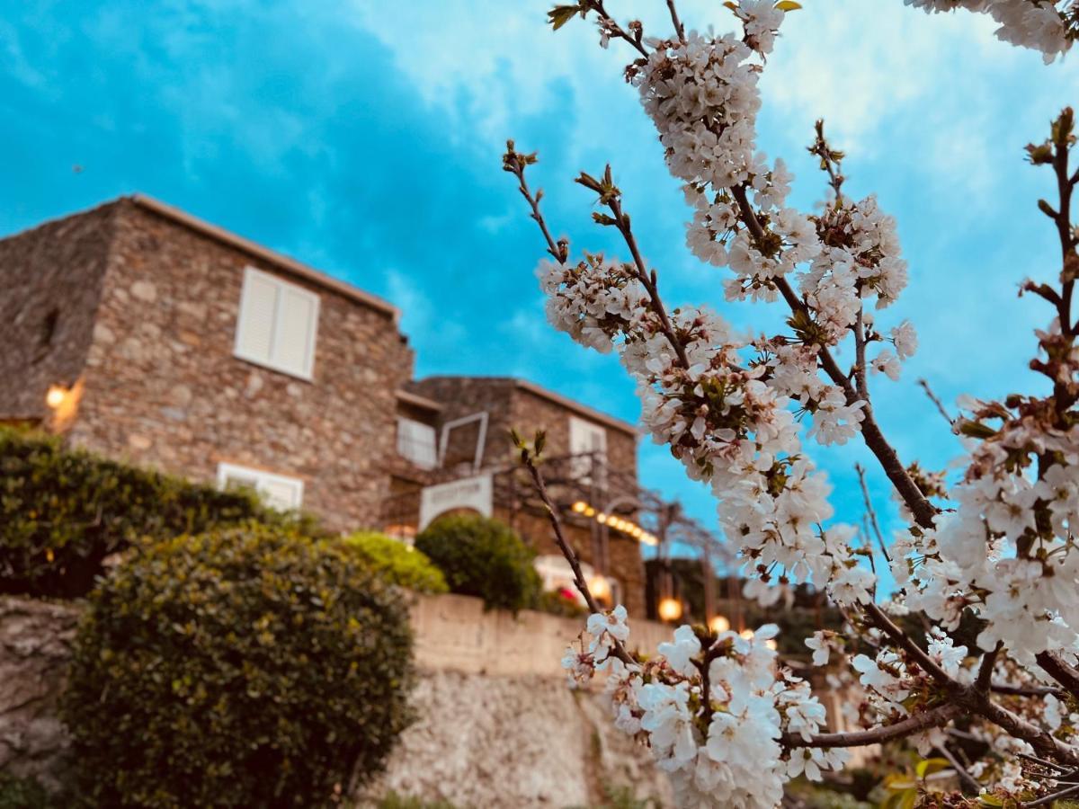 Casa Di Babbo Bed & Breakfast Macinaggio  Exterior foto